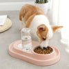 Fountain Feeder™ For Pets